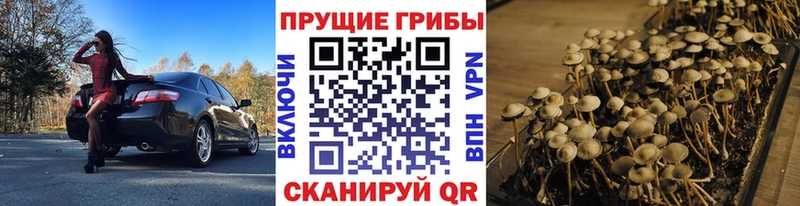 Псилоцибиновые грибы мухоморы  купить   мега маркетплейс  Сурск 